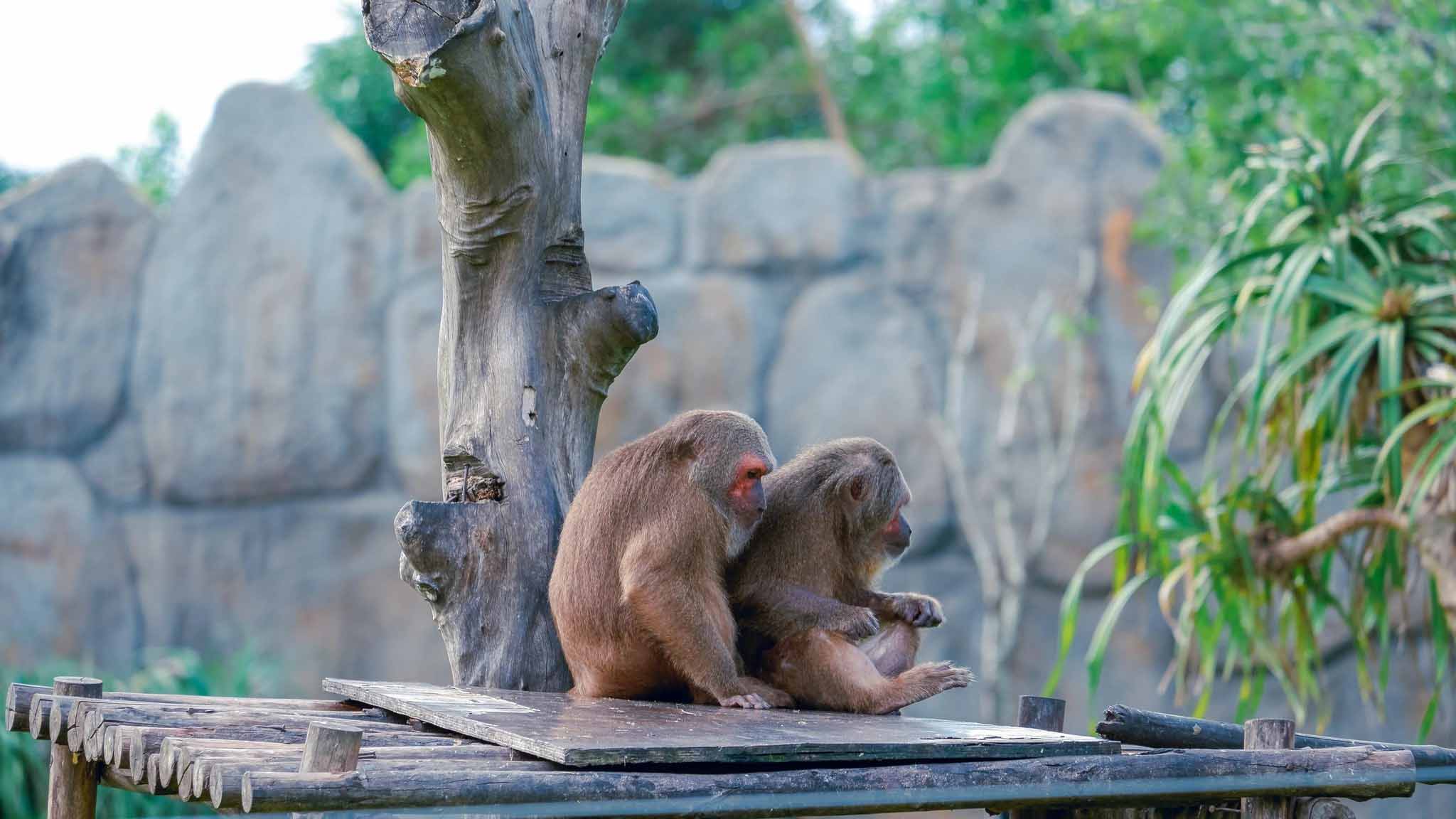 River Safari Vinwonders Nam Hội An