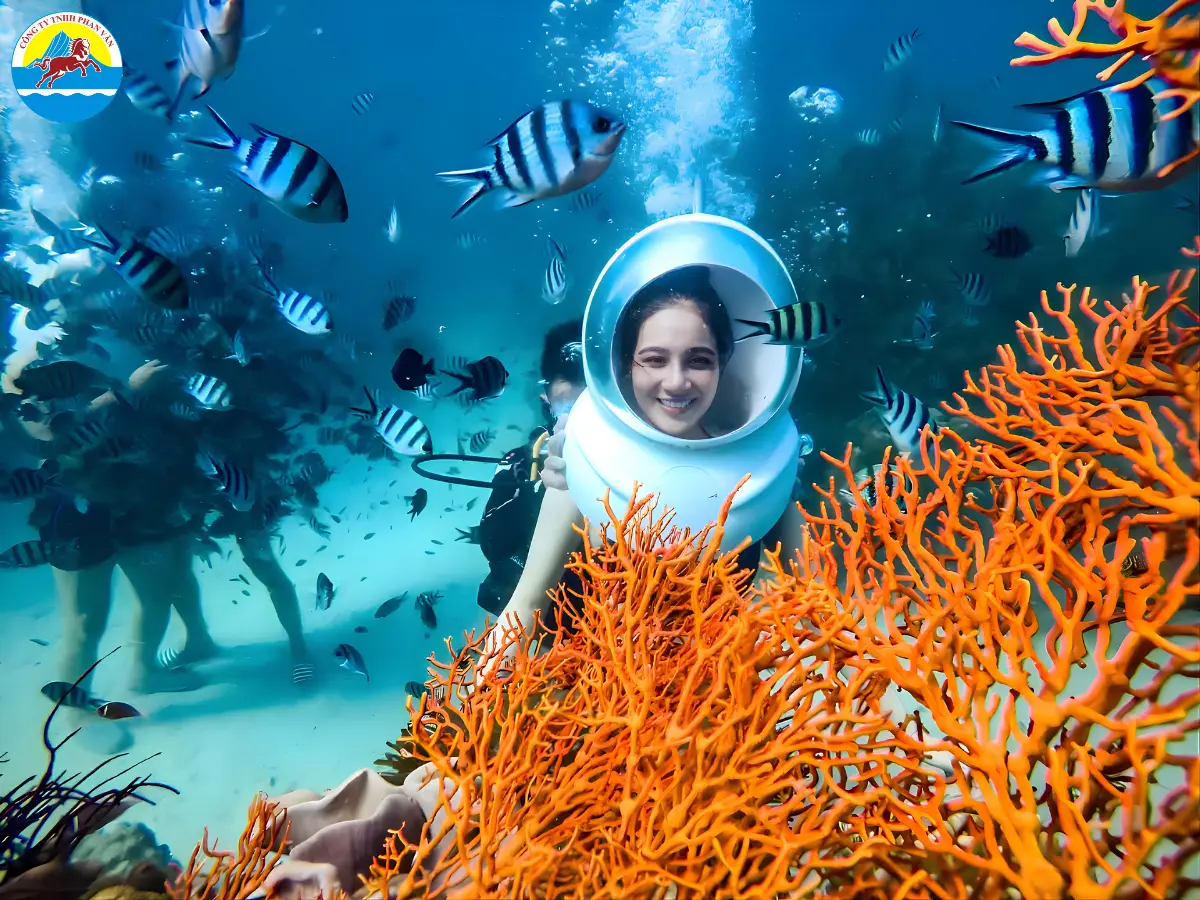 tour Quy Nhơn 3 ngày 2 đêm