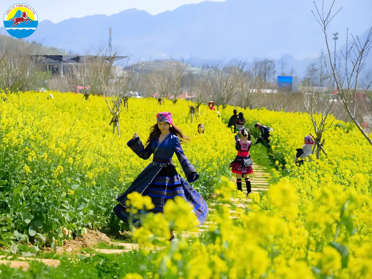 tour Sapa từ Đà Nẵng