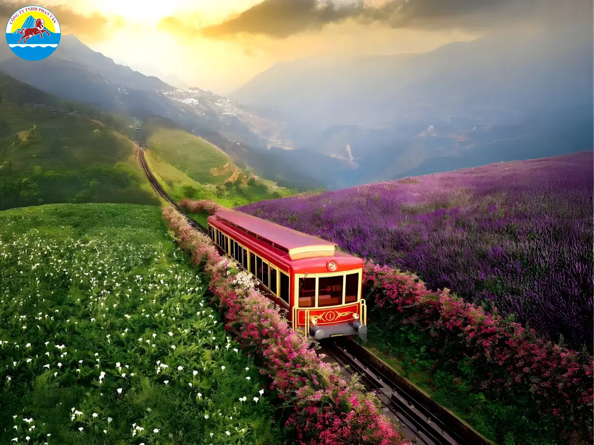 tour Sapa từ Đà Nẵng