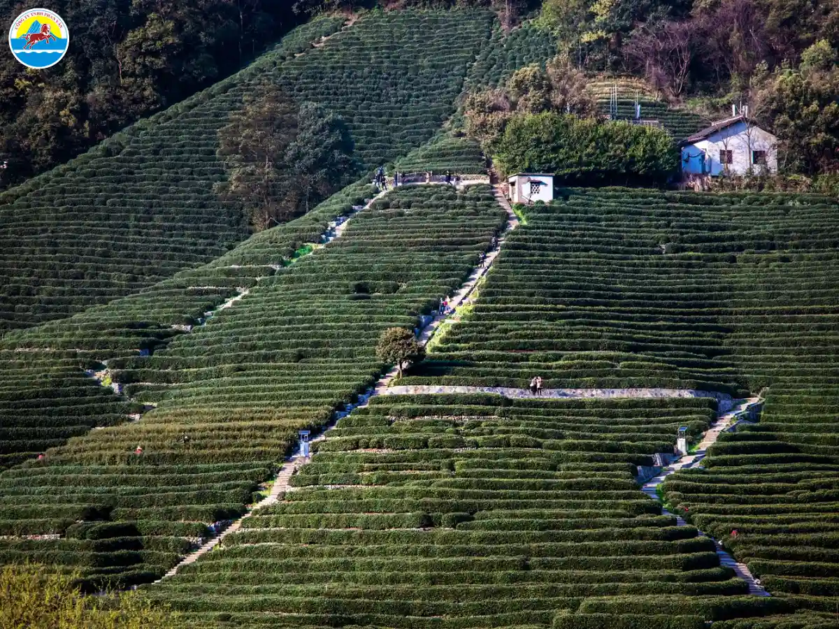 du lịch thượng hải hàng châu tô châu​