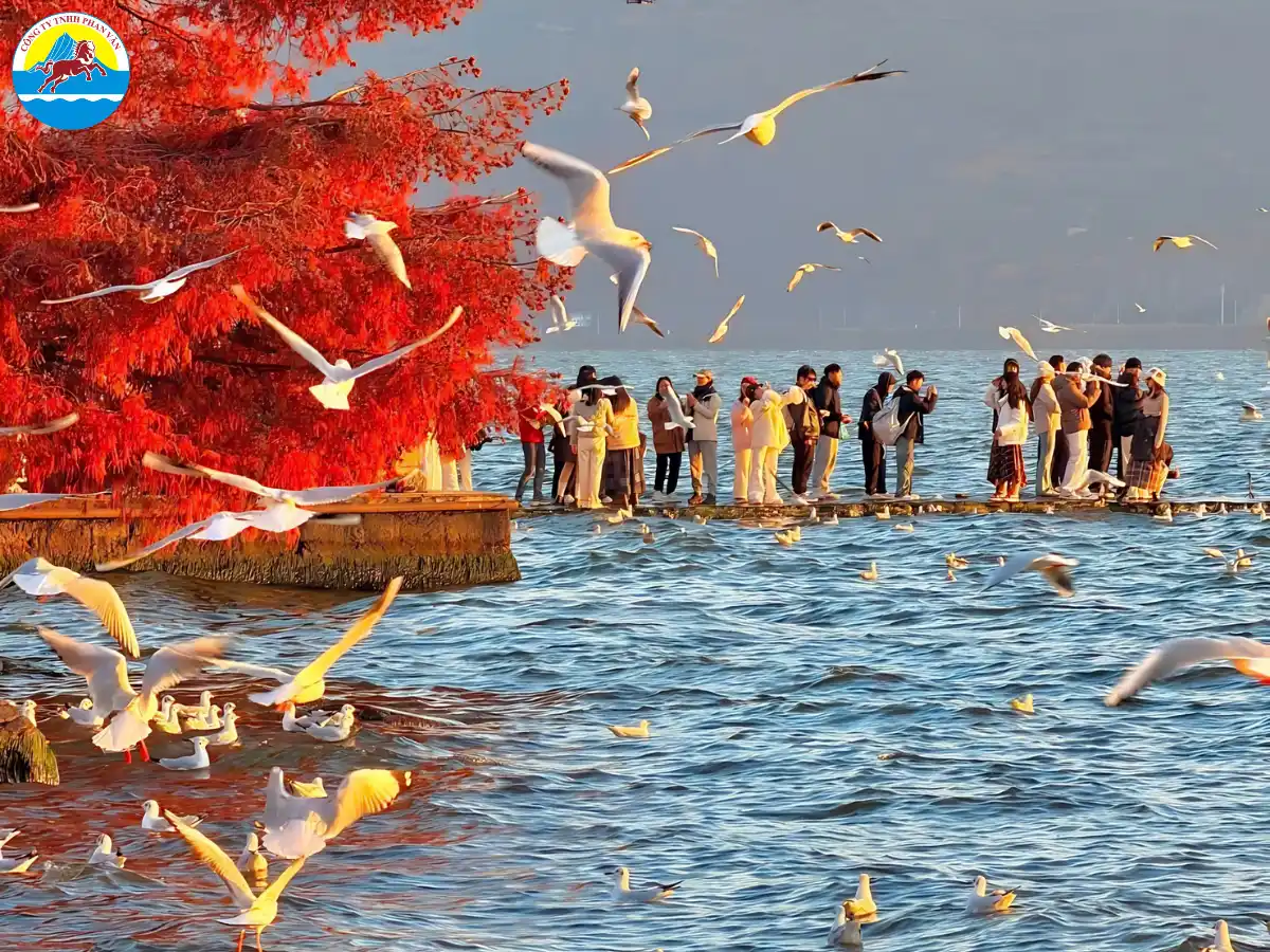 tour Vân Nam Trung Quốc