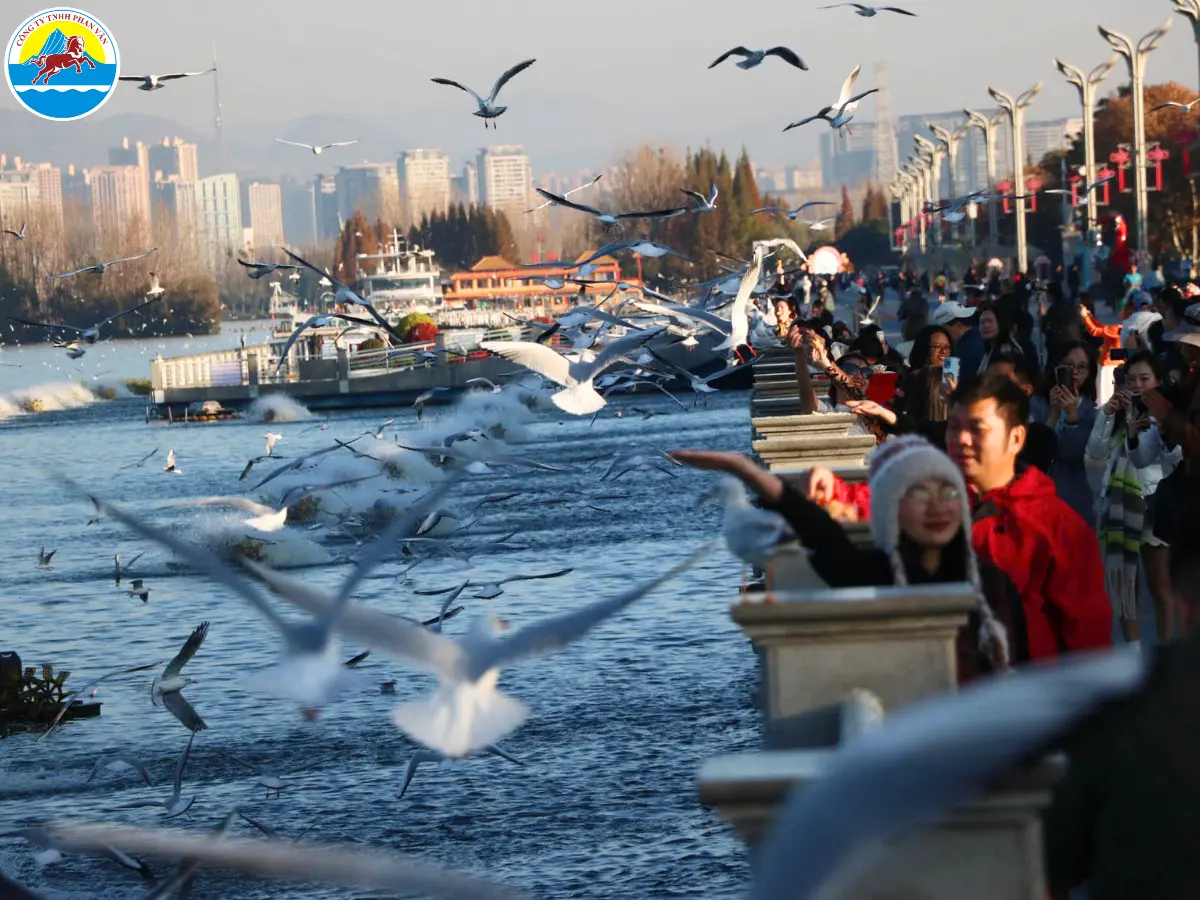 tour du lịch vân nam trung quốc