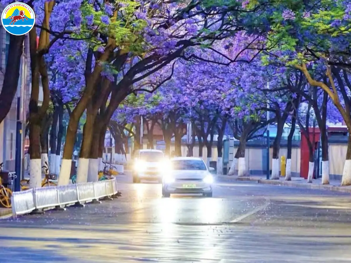 tour du lịch vân nam trung quốc