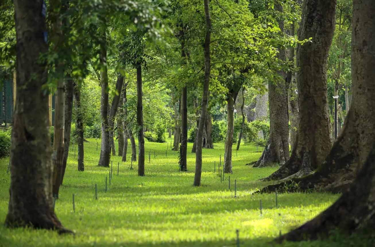 Khám phá vẻ đẹp của Vườn Bách Thảo