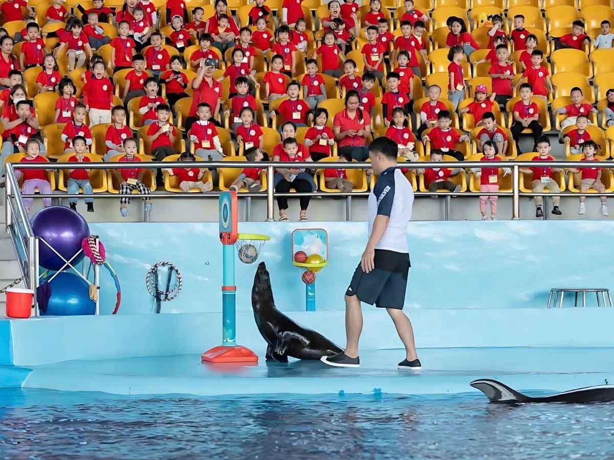 Phan Văn Travel mang đến quy trình đặt vé đơn giản chỉ với 3 bước