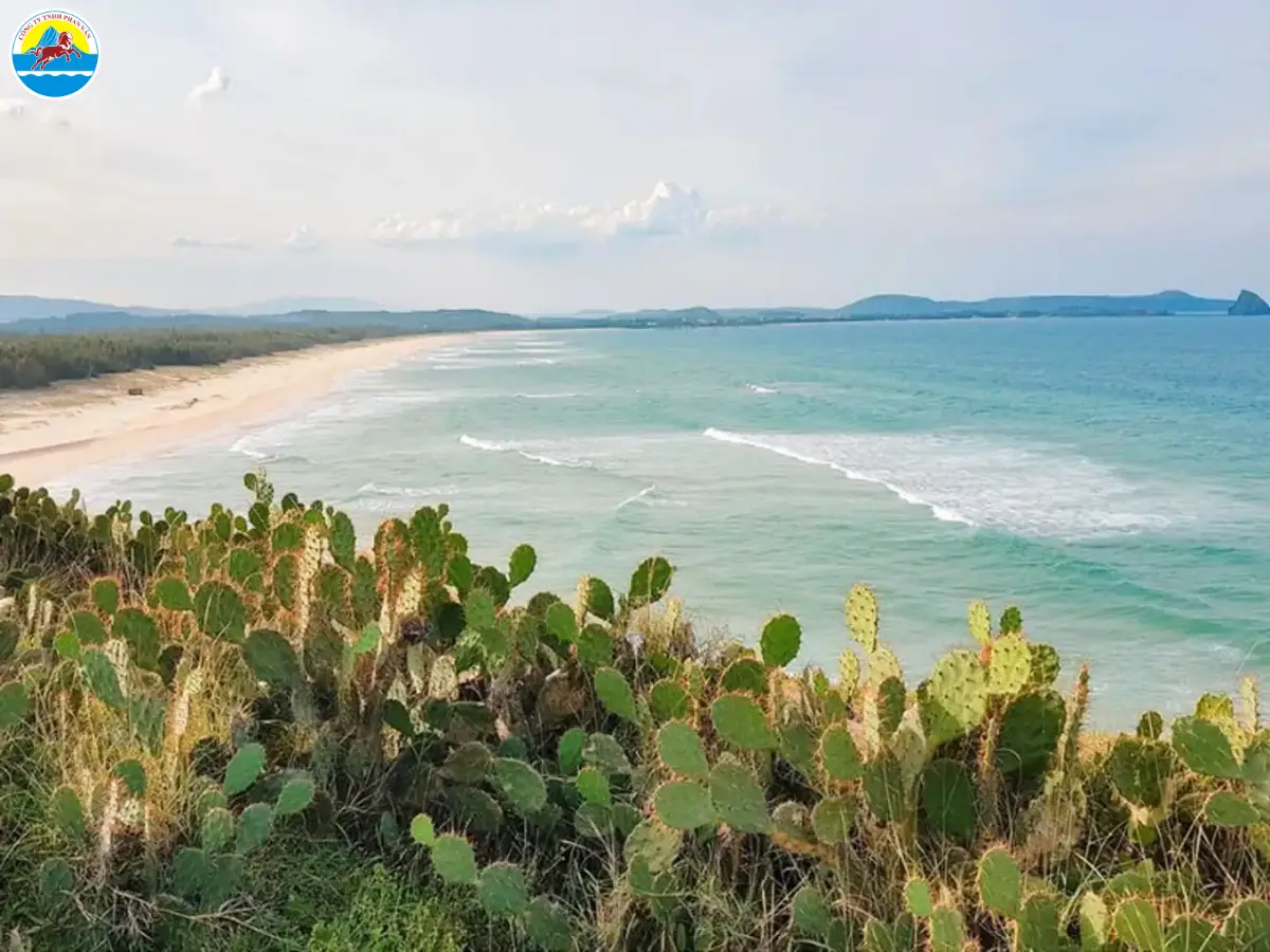 du lịch tuy an phú yên