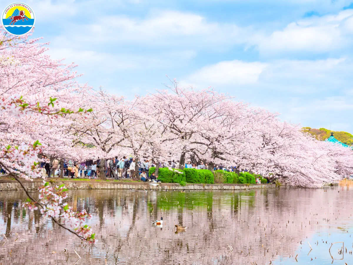 tour du lịch nhật bản 3 ngày 2 đêm