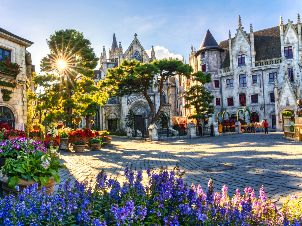 Ánh nắng rực rỡ lên lói qua những cây xanh