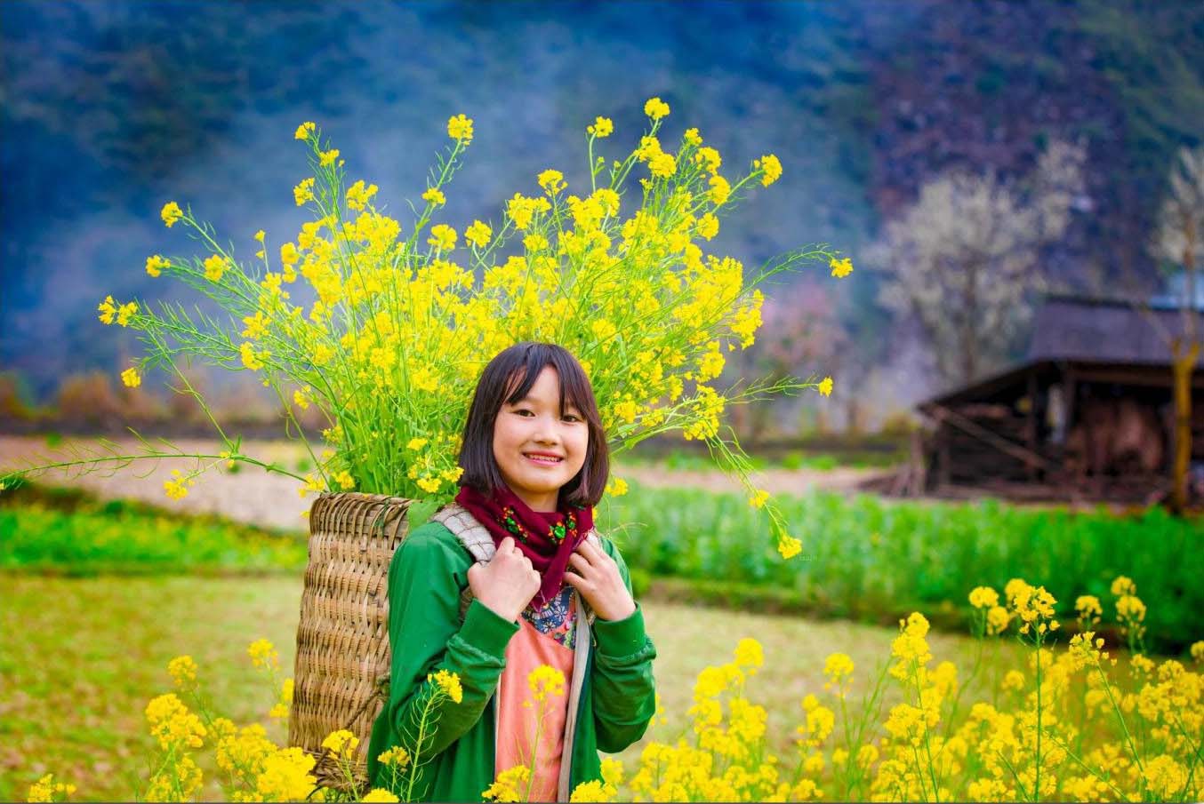 Thời Gian Mùa Hoa Cải Vàng