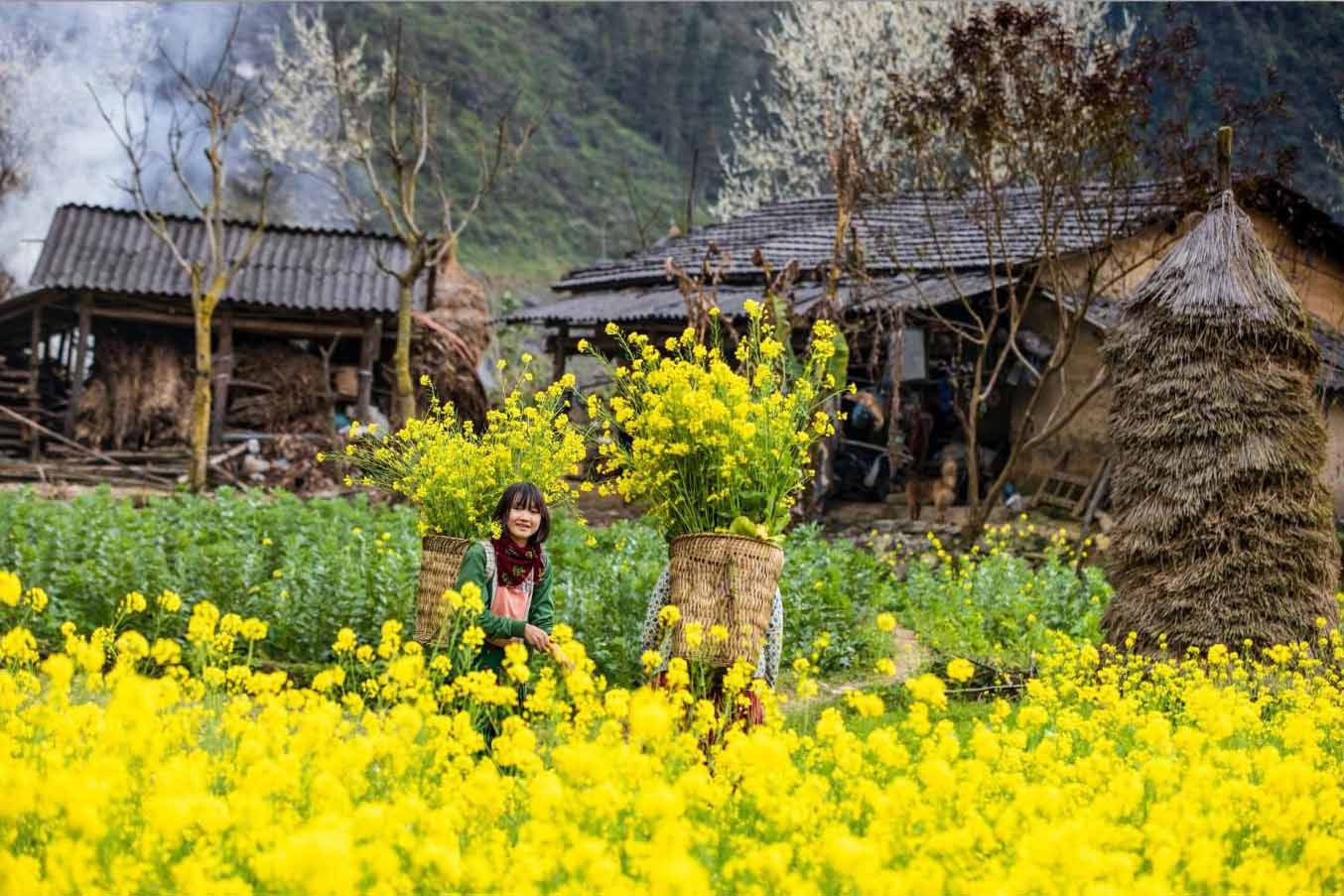 Người dân Mù Cang Chải, chủ yếu là người dân tộc Mông