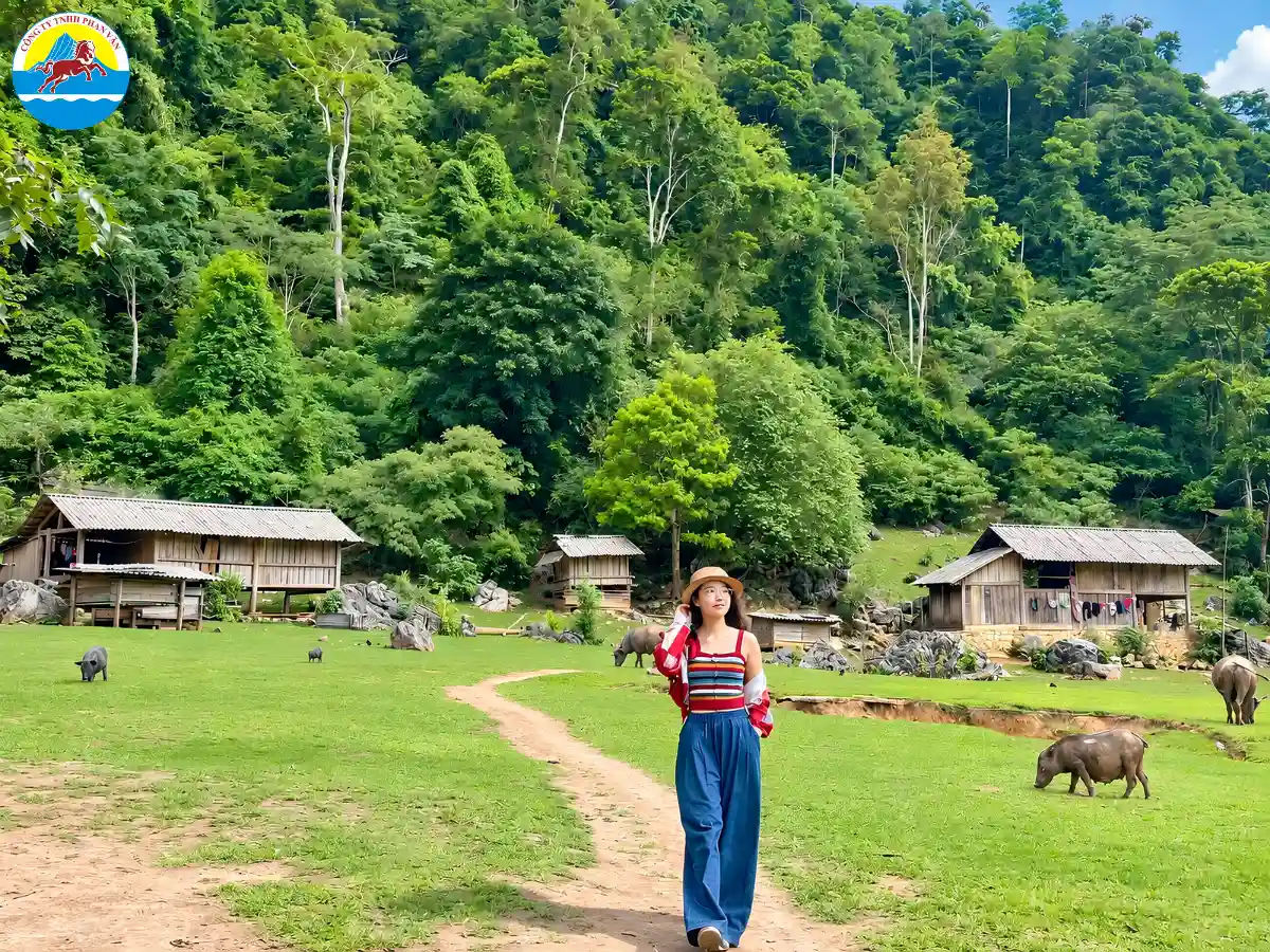 vé tham quan Mộc Châu