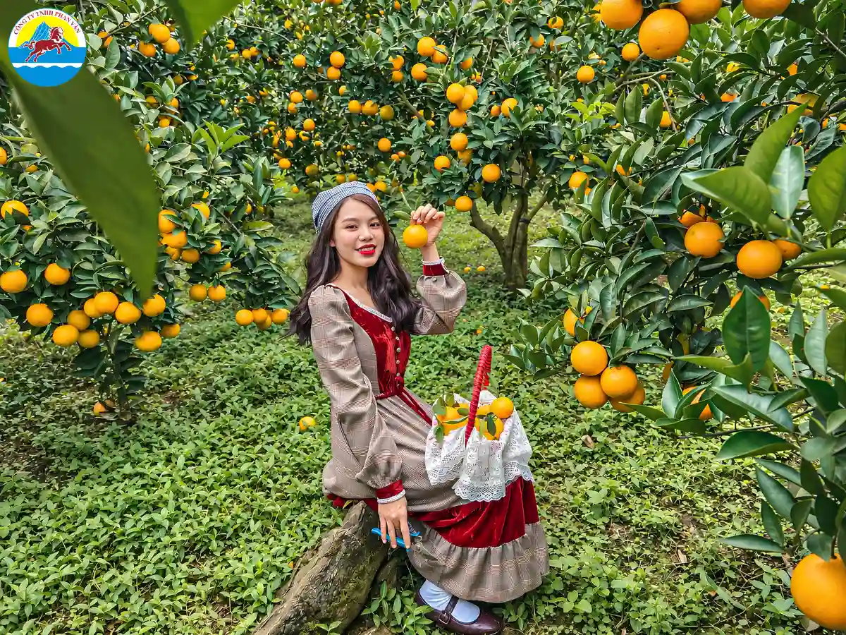 vé tham quan Mộc Châu