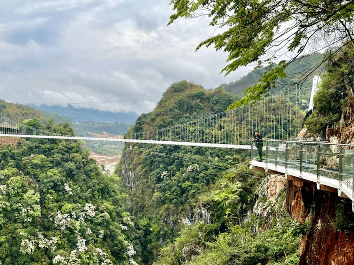 ve-tham-quan-moc-chau-gia-ve-kinh-nghiem-tham-quan-chi-tiet-phan-van-travel-3