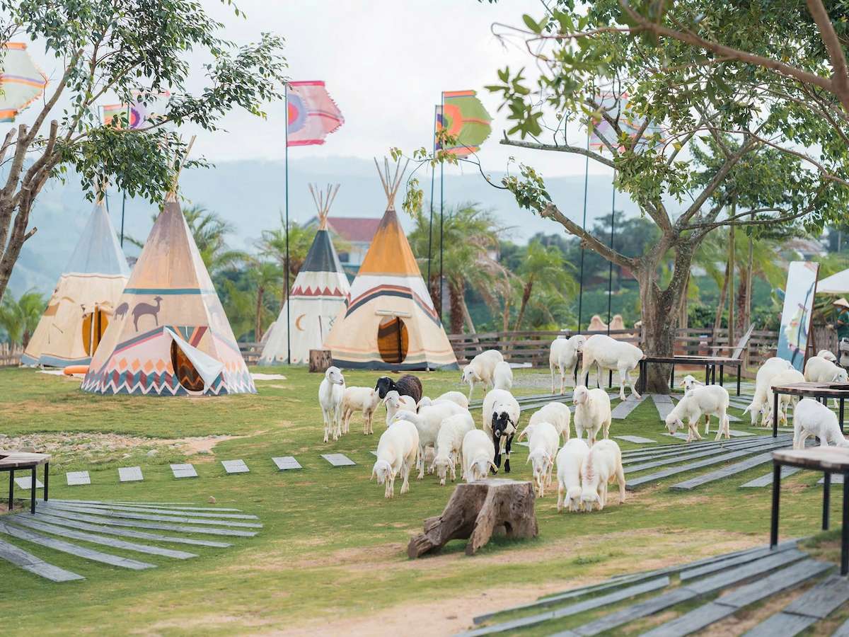 ve-tham-quan-mongo-land-ai-bao-len-da-lat-chi-co-ngam-canh-phan-van-travel-3
