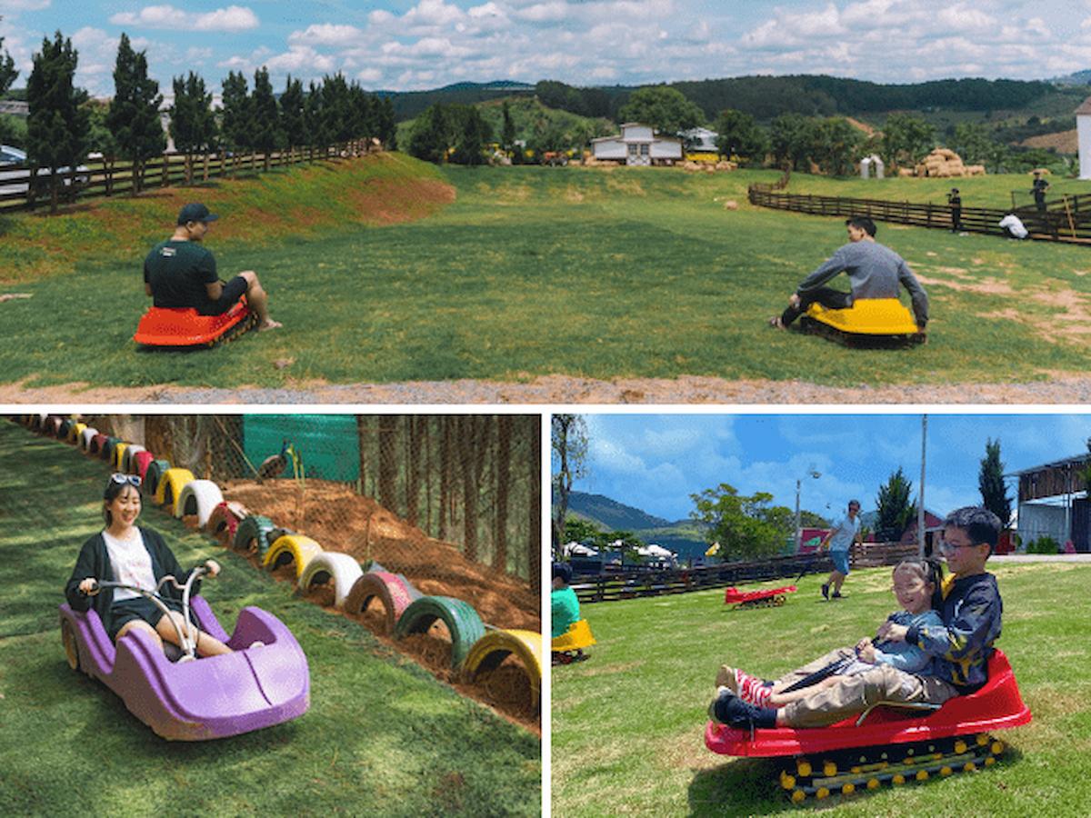 ve-tham-quan-mongo-land-ai-bao-len-da-lat-chi-co-ngam-canh-phan-van-travel-6