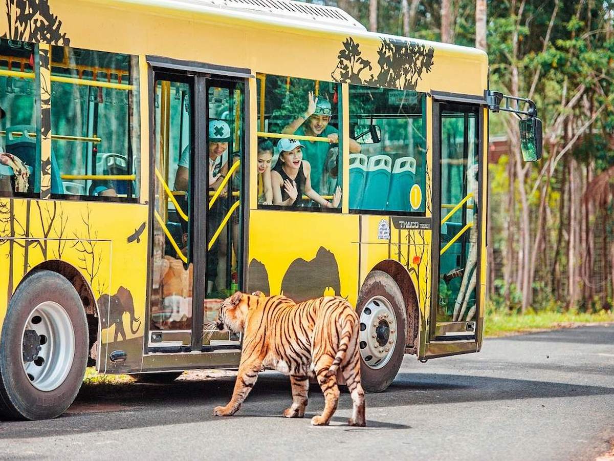 Trải nghiệm Nhốt người thả thú độc đáo tại Vinpearl Safari Phú Quốc