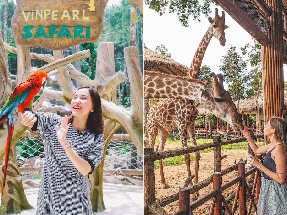 Safari Park