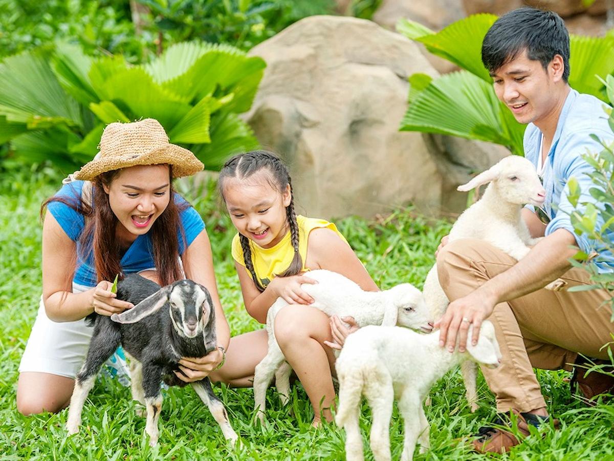 Vườn thú mở (Open Zoo)