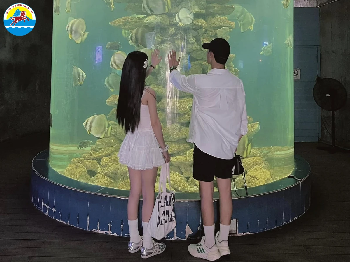 vé tham quan Viện Hải Dương Học Nha Trang