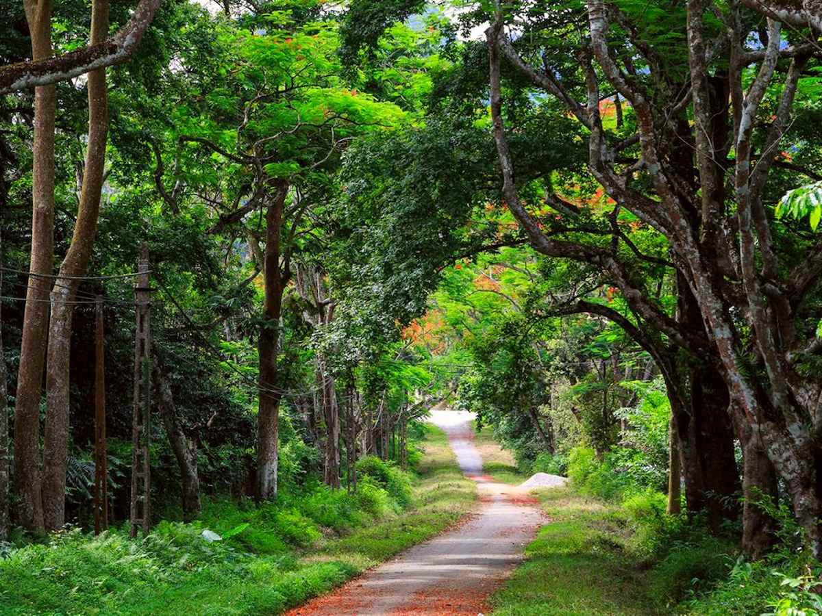 ve-tham-quan-vuon-quoc-gia-cuc-phuong-diem-den-cho-tin-do-du-lich-trai-nghiem-phan-van-travel-1