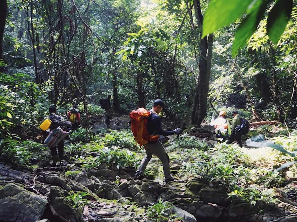ve-tham-quan-vuon-quoc-gia-cuc-phuong-diem-den-cho-tin-do-du-lich-trai-nghiem-phan-van-travel-7