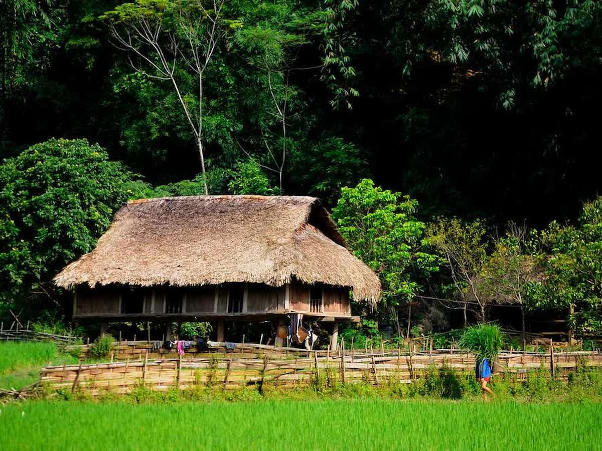 ve-tham-quan-vuon-quoc-gia-cuc-phuong-diem-den-cho-tin-do-du-lich-trai-nghiem-phan-van-travel-9