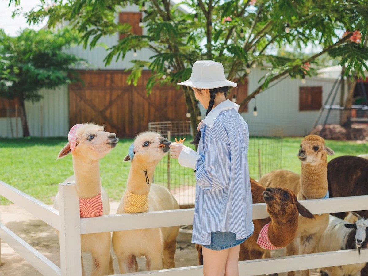 ve-tham-quan-vuon-thu-zoodoo-thien-duong-cho-cac-con-sen-phan-van-travel-1