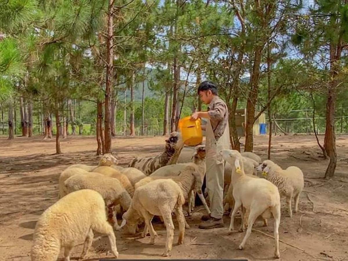 ve-tham-quan-vuon-thu-zoodoo-thien-duong-cho-cac-con-sen-phan-van-travel-12