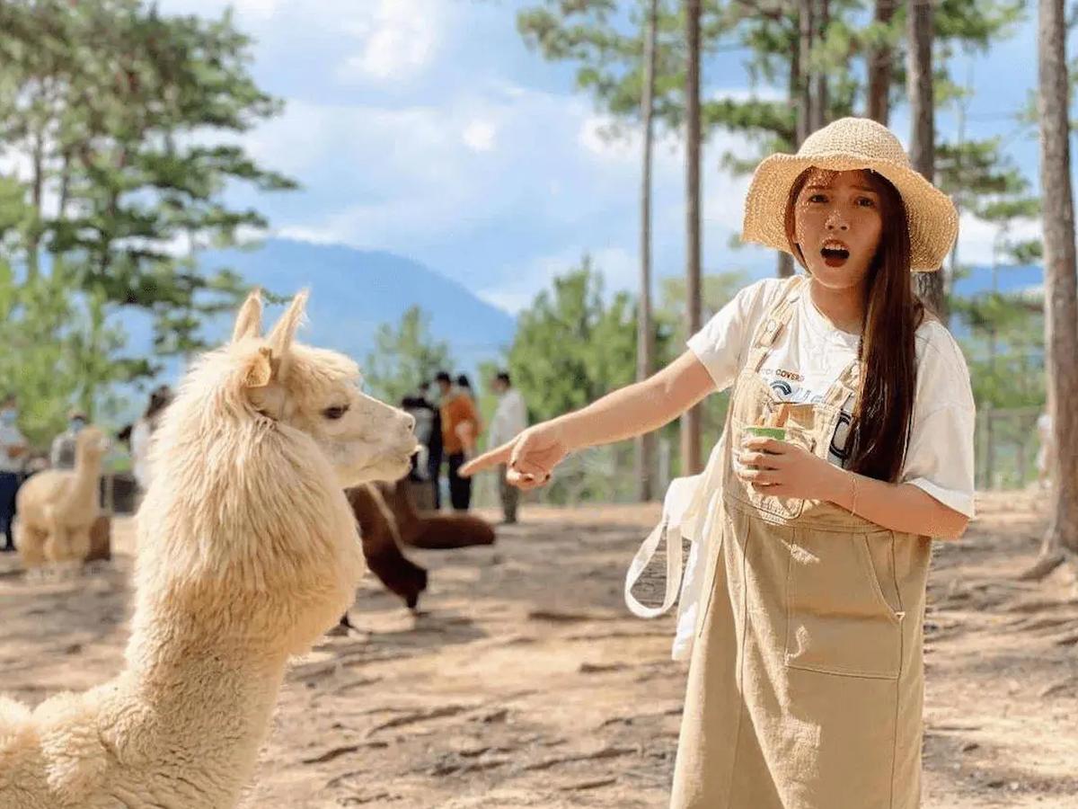 ve-tham-quan-vuon-thu-zoodoo-thien-duong-cho-cac-con-sen-phan-van-travel-8