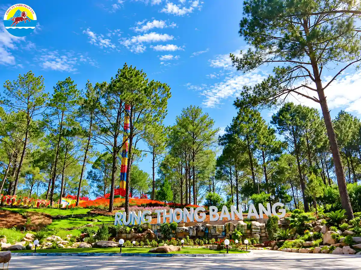 vé vào Rừng thông Bản Áng