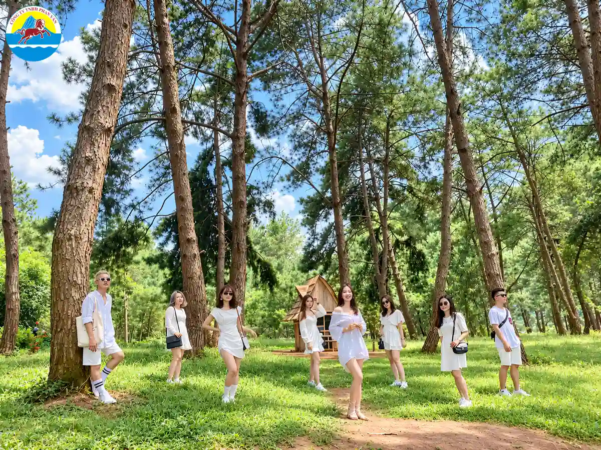 vé vào Rừng thông Bản Áng