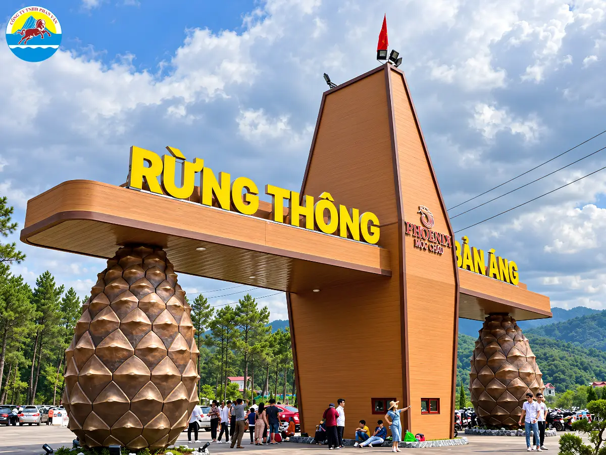 Quầy vé và khu vực đón khách tại Rừng thông Bản Áng