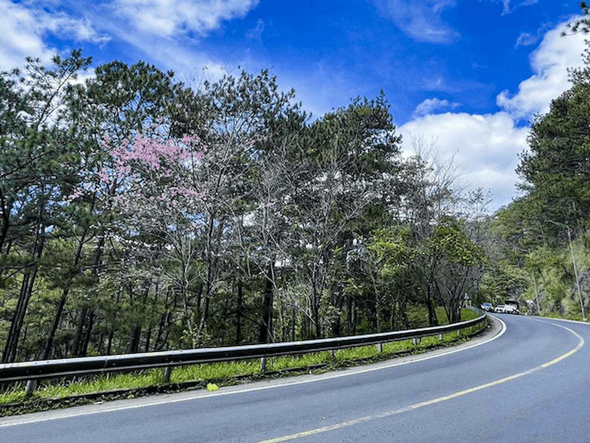 Đà Lạt có nhiều cung đường đèo đẹp như tranh vẽ