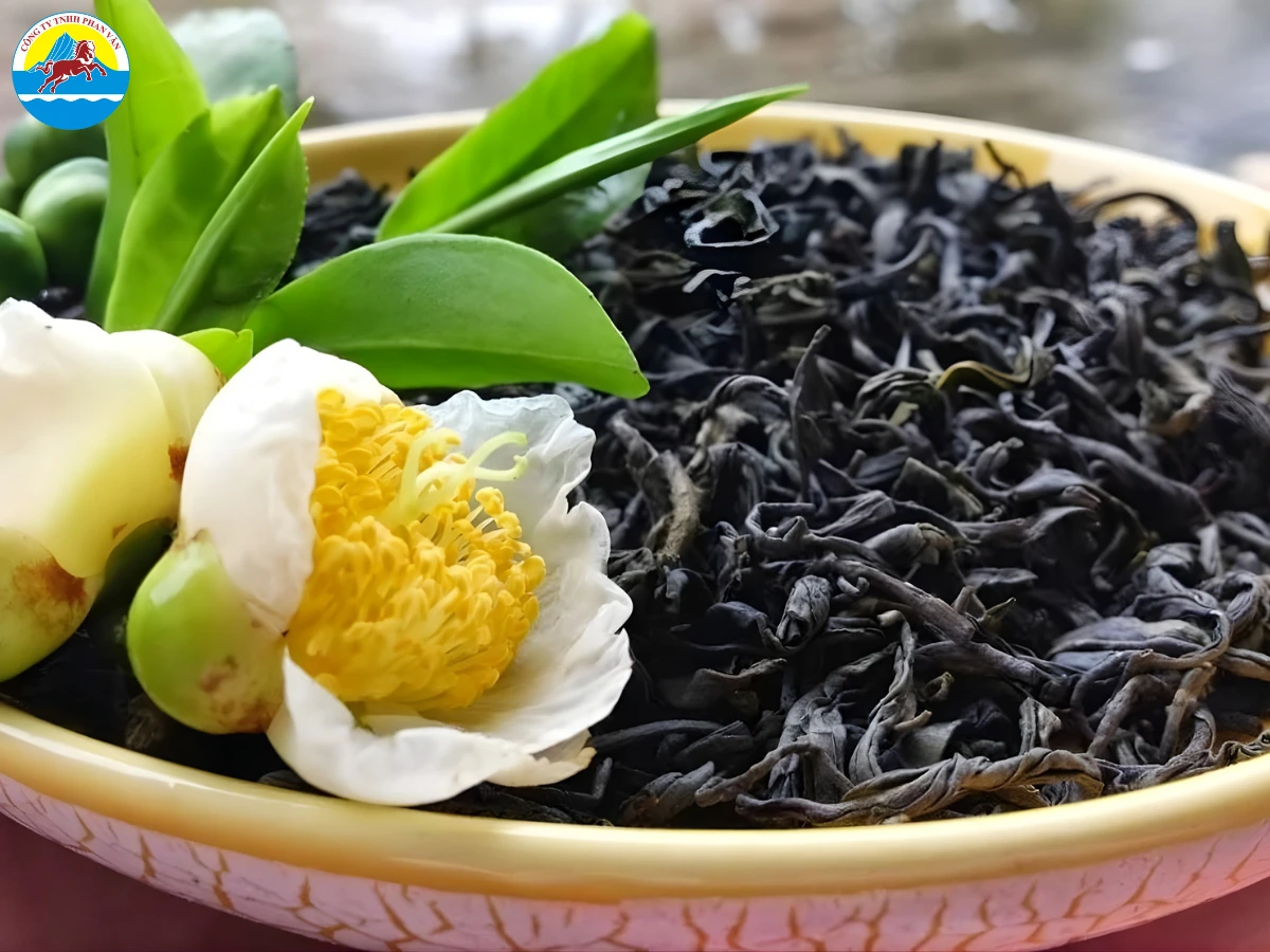 Chè Shan Tuyết cổ thụ Cao Bồ