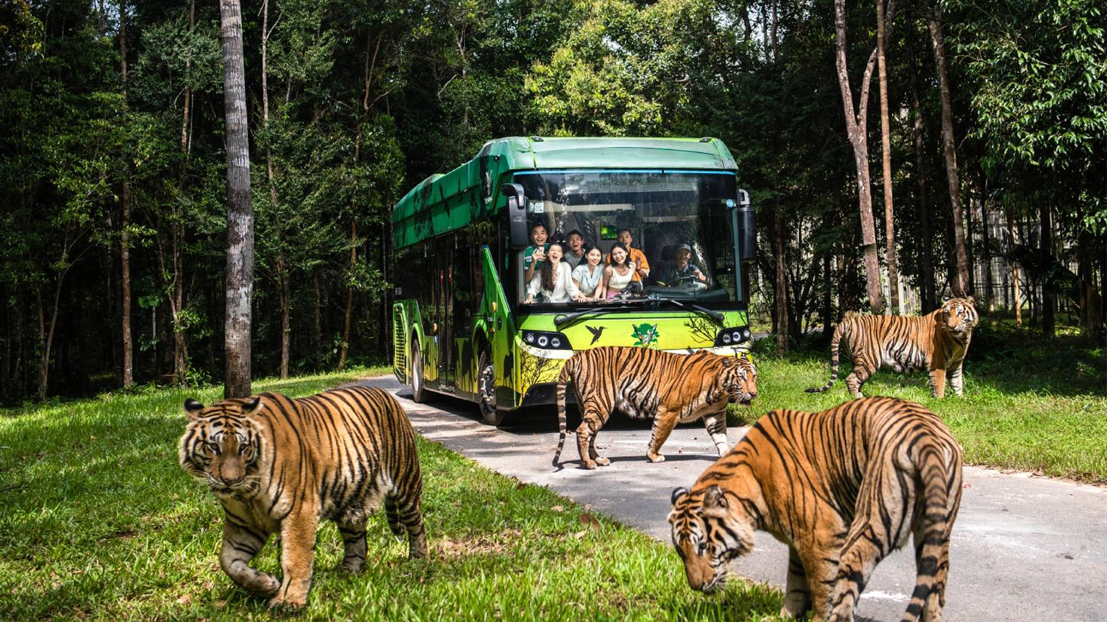 Thông tin về vé tham quan Vin Safari Phú Quốc