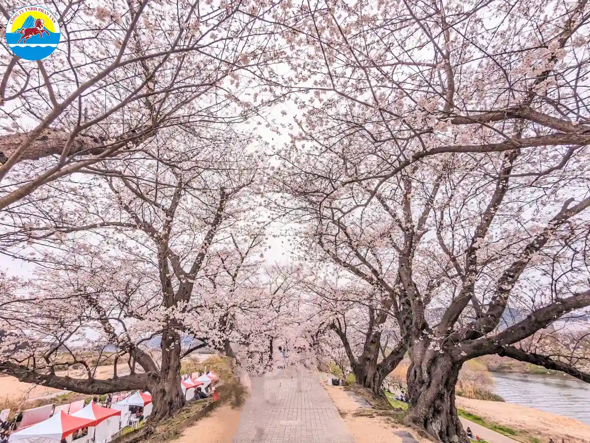 Con đường Triết Gia - Tetsugaku-no-Michi