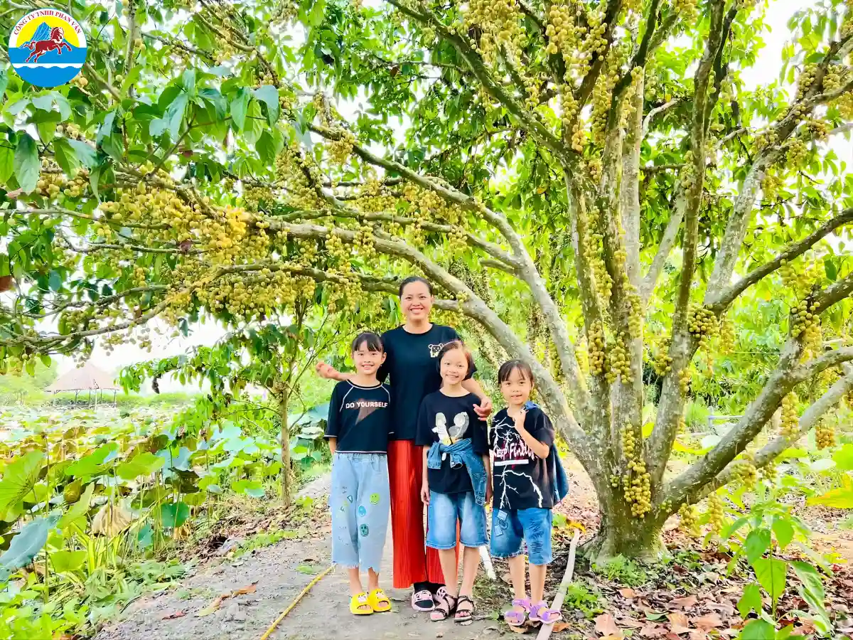 vườn trái cây Cần Thơ