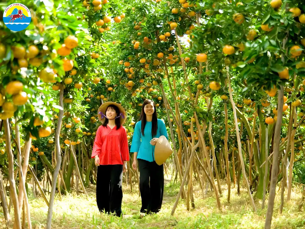 vườn trái cây Cần Thơ