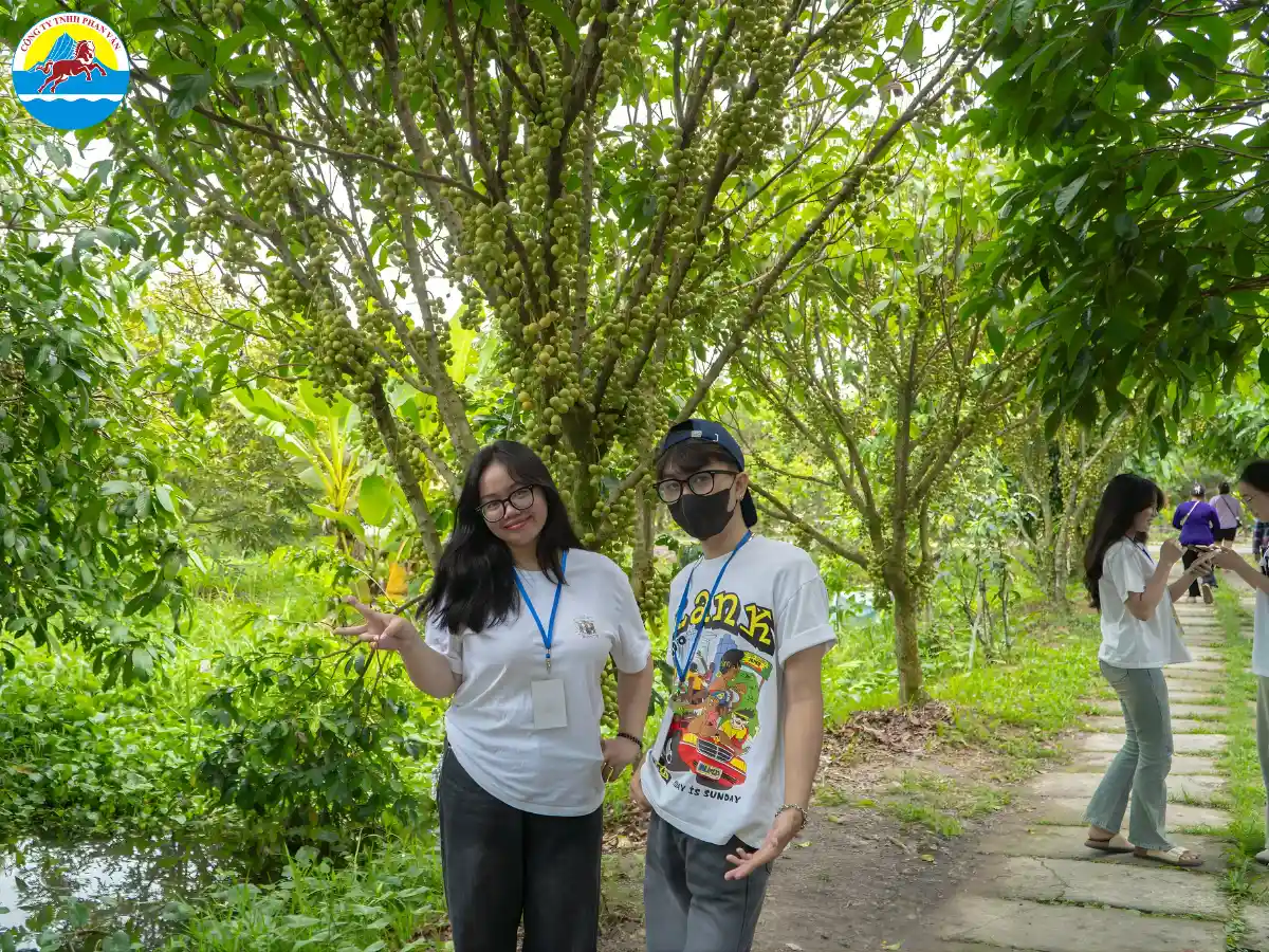 Vườn trái cây Phi Yến