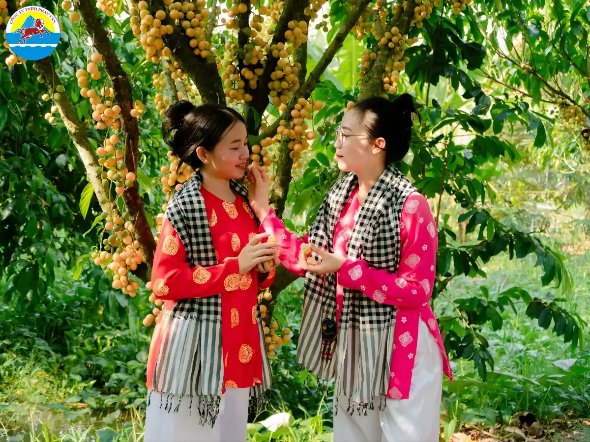 vườn trái cây Cần Thơ