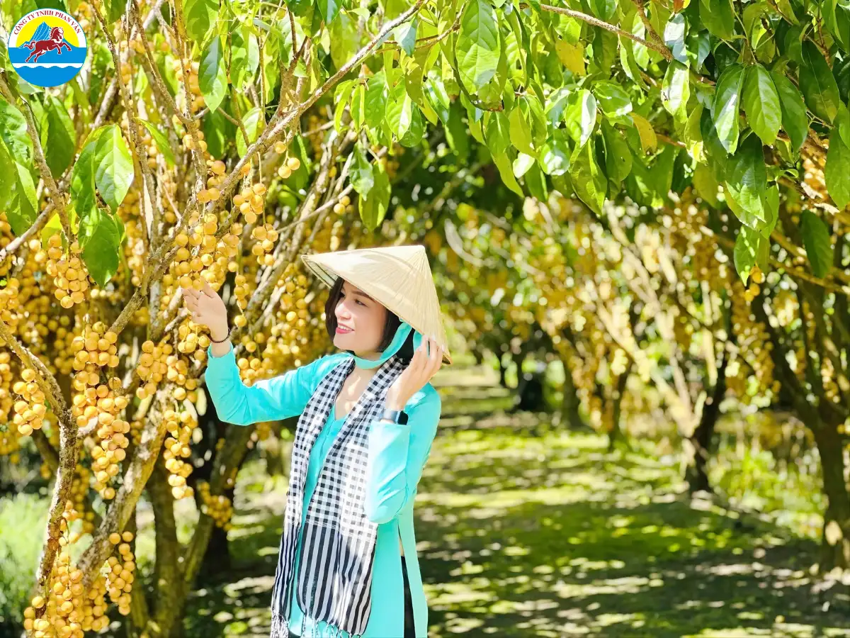 vườn trái cây Cần Thơ