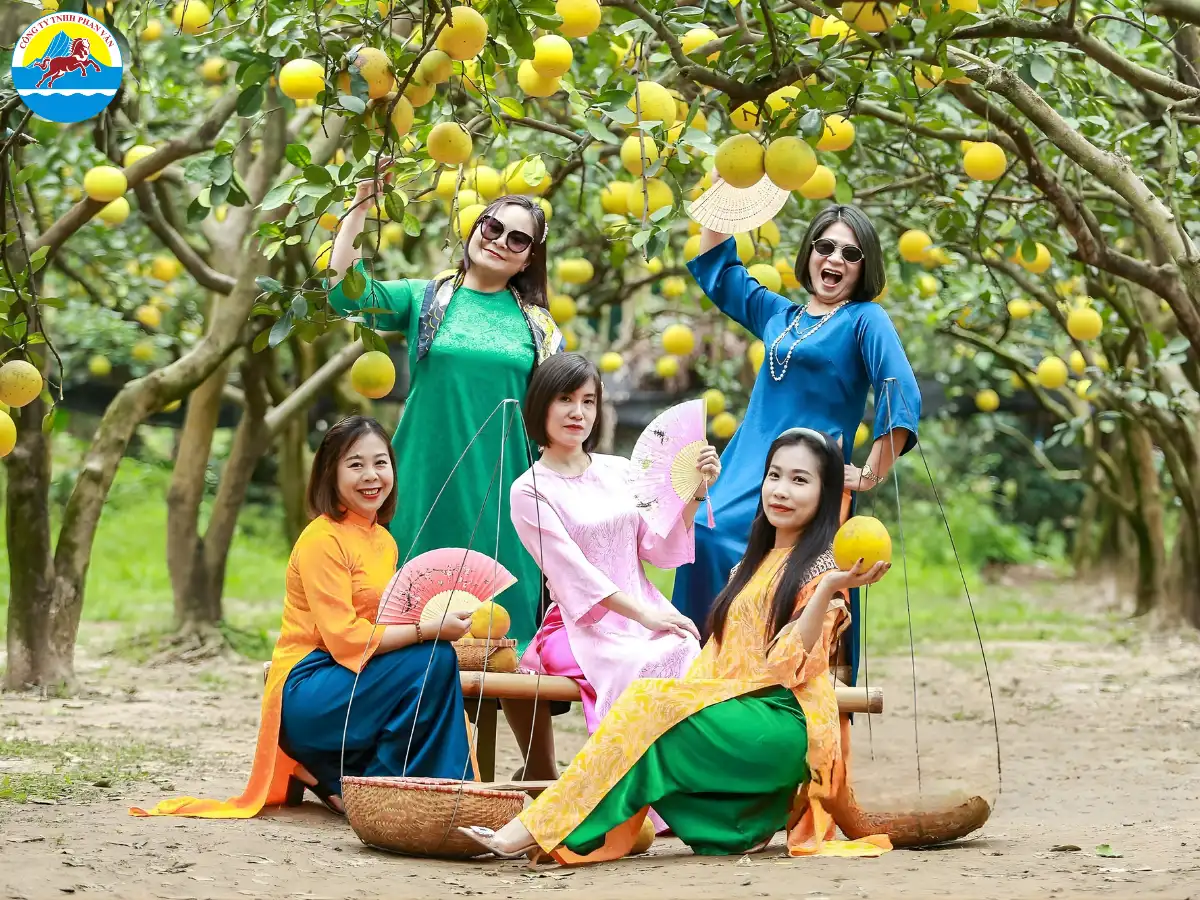 vườn trái cây Tiền Giang