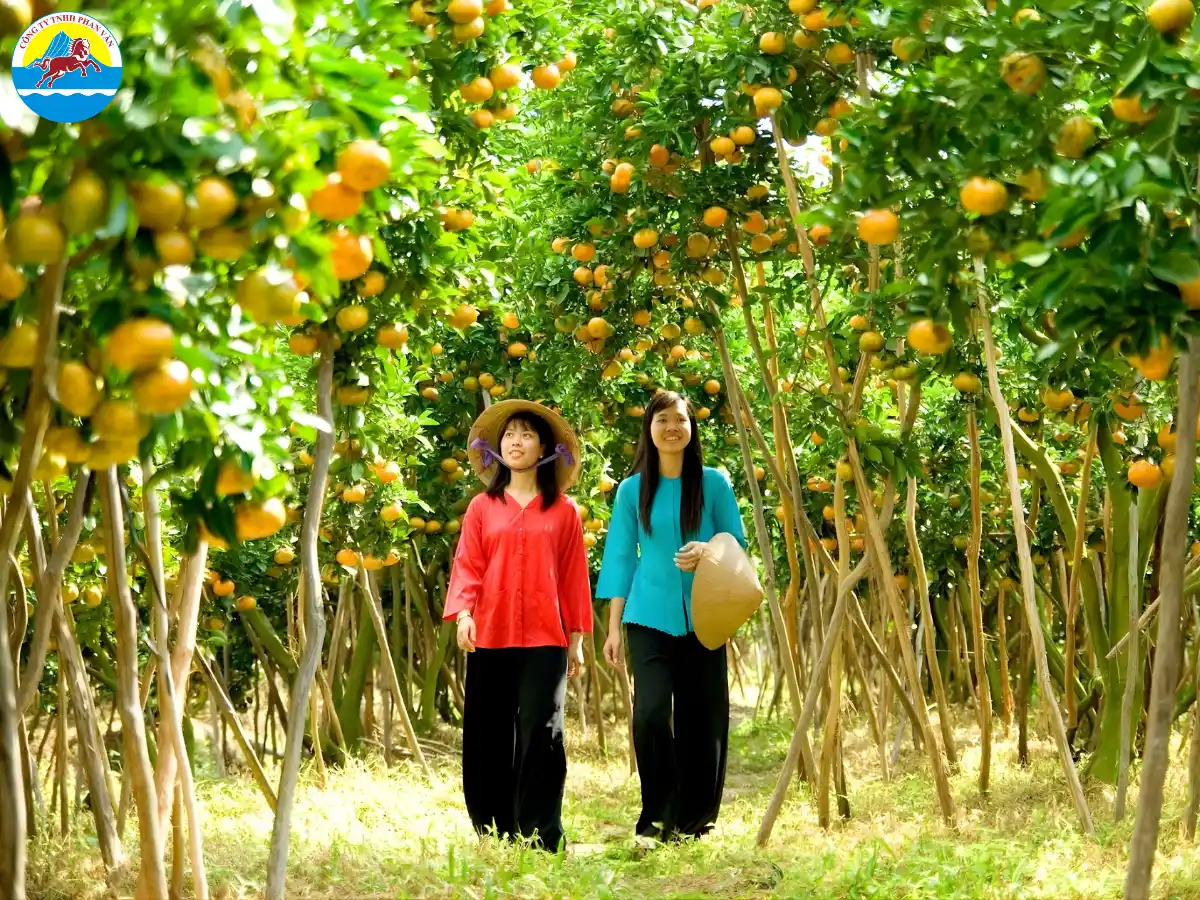 Vườn trái cây Chín Thương