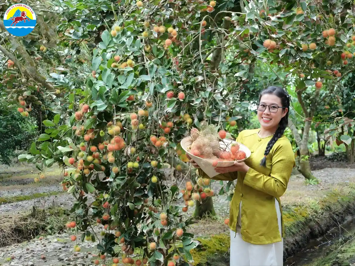 Vườn trái cây Tân Phong