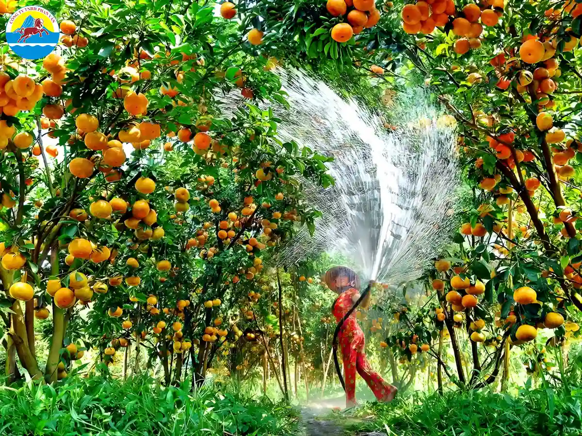 vườn trái cây Tiền Giang