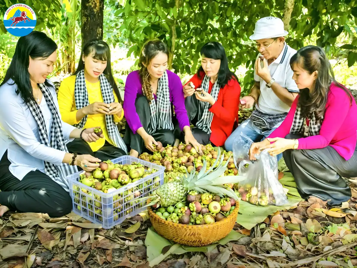 vườn trái cây Tiền Giang