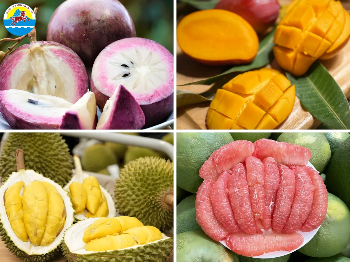 vườn trái cây Tiền Giang