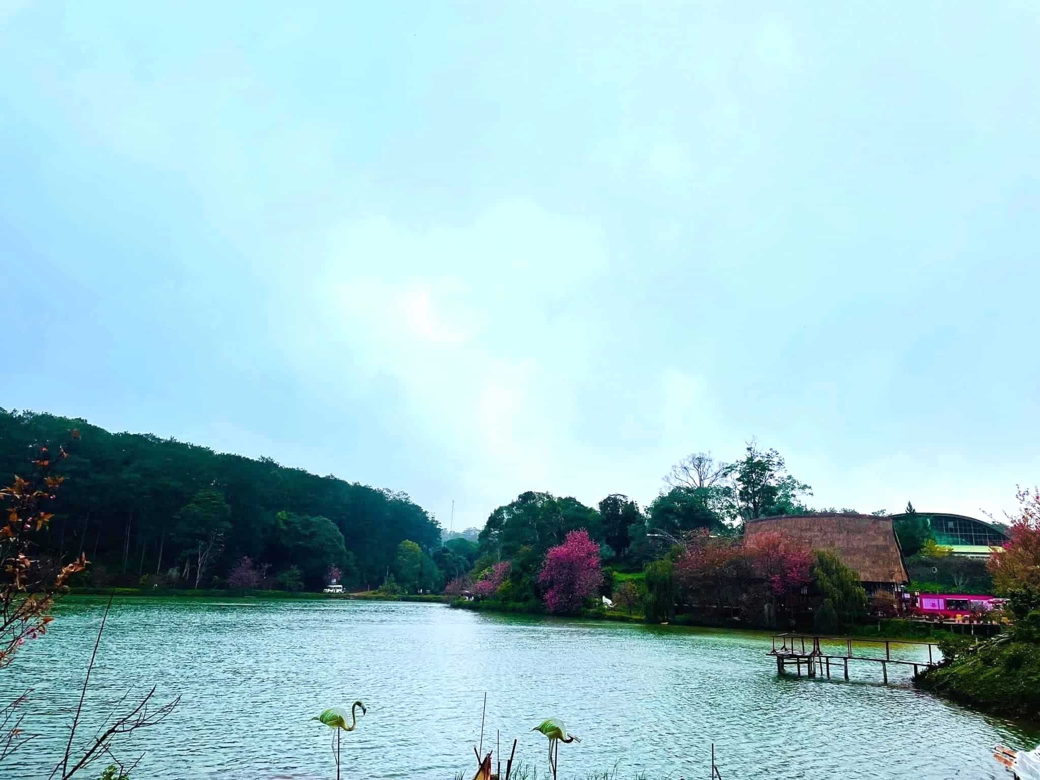 Xe Đà Nẵng Đi Pleiku