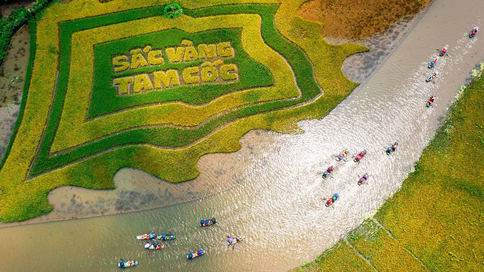 Cố Đô Hoa Lư - Tam Cốc - Hang Múa